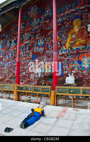 Pellegrini in preghiera davanti al Buddha blu nel centro di Lhasa, in Tibet, Cina Foto Stock