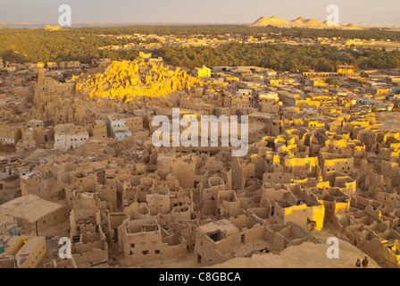 Le rovine della vecchia città di Shali, Oasi di Siwa, Egitto, Nord Africa Foto Stock