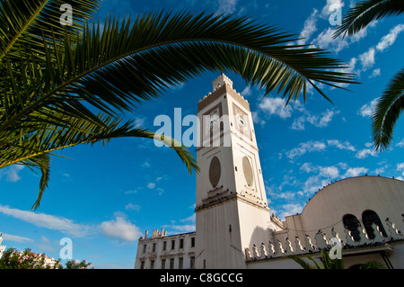 Djamaa El Djedid (Moschea del pescatore) sul luogo detto porta ad Algeri, Algeria, Nord Africa Foto Stock