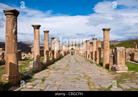 Le rovine romane di Djemila, Sito Patrimonio Mondiale dell'UNESCO, Algeria, Nord Africa Foto Stock