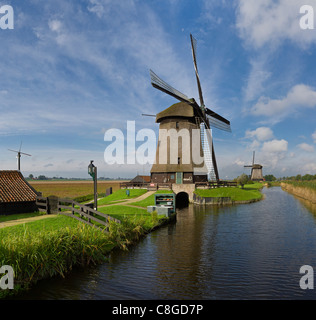 Paesi Bassi, Europa, Olanda, Schermerhorn, mulino a vento, polder, De Schermer, Campo, Prato, acqua, estate, Foto Stock