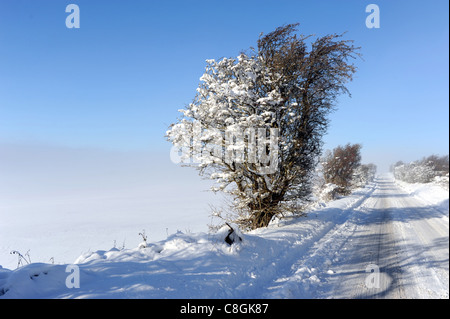 Una nebbia scende sulla neve sulle South Downs lungo la strada fino a Ditchling Beacon da Brighton, Regno Unito Foto Stock