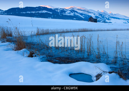 Schönenbodensee, Svizzera, Europa, Canton San Gallo, Toggenburgo, stagno, reed, stabile, montagne Churfirsten, sunrise, neve Foto Stock