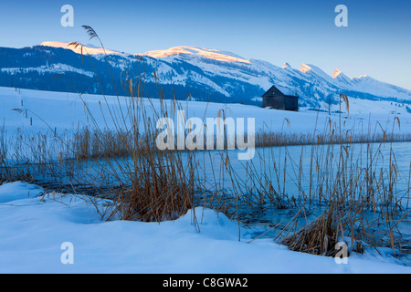 Schönenbodensee, Svizzera, Europa, Canton San Gallo, Toggenburgo, stagno, reed, stabile, montagne Churfirsten, sunrise, neve Foto Stock