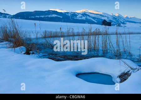 Schönenbodensee, Svizzera, Europa, Canton San Gallo, Toggenburgo, stagno, reed, stabile, montagne Churfirsten, sunrise, neve Foto Stock