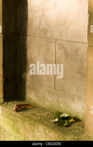 Ottobre fogliame in Haigh Hall Country Park Wigan U.K.su un pomeriggio sunnu Foto Stock