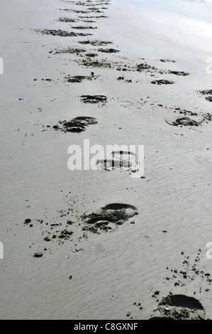 Stampe di zoccoli di cavallo nella sabbia morbida lasciata dai cavalli lungo la spiaggia di West Wittering a bassa marea, West Sussex, Inghilterra, Regno Unito Foto Stock