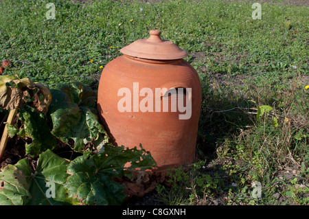 Cloche di Bell Foto Stock