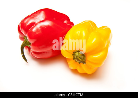 Scotch Bonnet chili peppers isolato su un bianco di sfondo per studio. Foto Stock