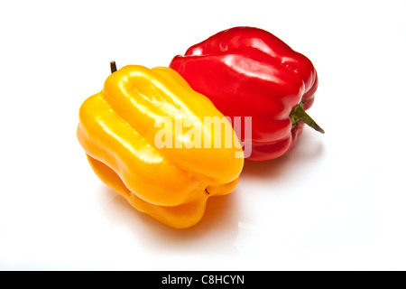 Scotch Bonnet chili peppers isolato su un bianco di sfondo per studio. Foto Stock