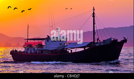 Cinese barca da pesca e aironi al tramonto, Victoria Harbour, Hong Kong, Cina. Foto Stock