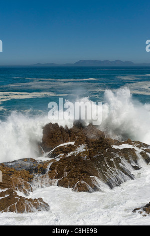 La frantumazione delle onde sui massi lungo il percorso 44 Table Mountain in background in Sud Africa Foto Stock