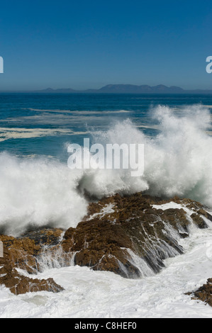 La frantumazione delle onde sui massi lungo il percorso 44 Table Mountain in background in Sud Africa Foto Stock