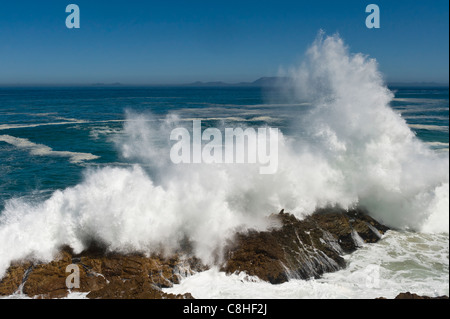 La frantumazione delle onde sui massi lungo il percorso 44 Table Mountain in background in Sud Africa Foto Stock