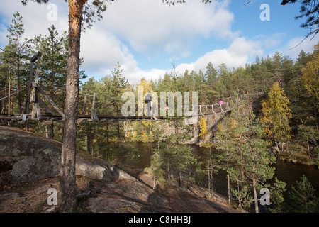 Ponte di sospensione in Repovesi parco nazionale di Finlandia Europa Foto Stock