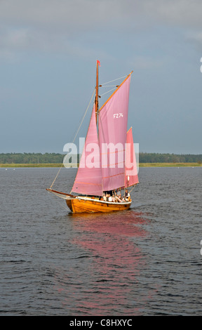 Zees barca su Darsser Bodden (Laguna), vicino a Zingst, Meclemburgo-Pomerania Occidentale, Germania, Europa Foto Stock