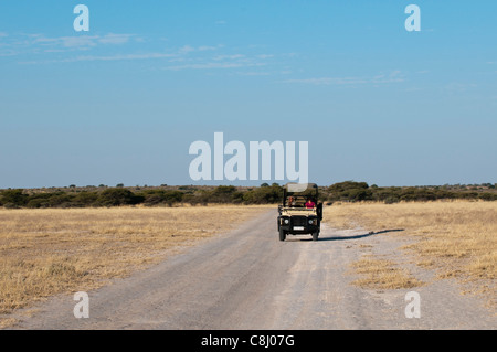 Deception Valley, riserva centrale del Kalahari, in Botswana. Foto Stock