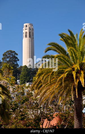 Coit Tower - un omaggio ai vigili del fuoco durante il terremoto del 1906 e il fuoco in San Francisco California USA Foto Stock