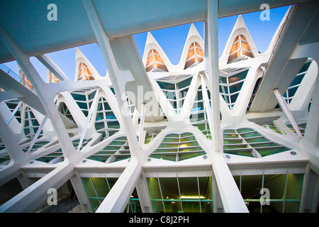 Spagna, Europa, Valencia, Città delle arti e della scienza, Calatrava, architettura moderna struttura, Foto Stock