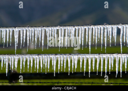 Congelati acqua di irrigazione su un recinto di filo. Foto Stock