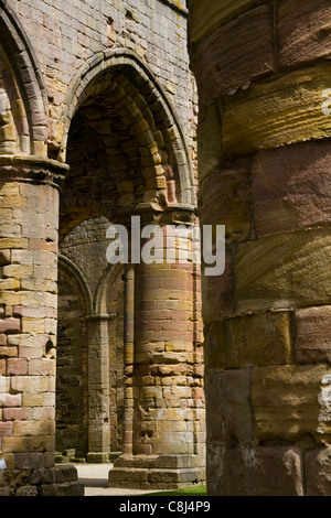 La rosa pastello colori delle colonne nel corpo principale della chiesa a resti di Fountains Abbey, Yorkshire Foto Stock