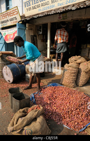 L'uomo scuotendo le pelli sciolte di scalogno fuori in un setaccio al di fuori del suo negozio di mercato in Bazaar Road, Mattancherry, Kerala, India Foto Stock