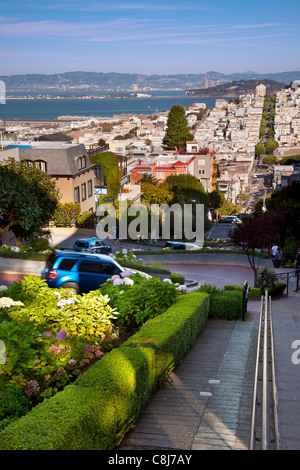 Flower rivestita Lombard Street di San Francisco in California USA Foto Stock