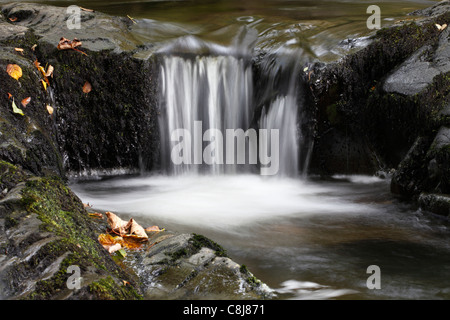 "Aira Beck", "vicino" della cascata di acqua nel flusso di bosco, "Aira Force', 'Lake District', Cumbria, England, Regno Unito Foto Stock