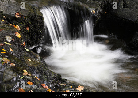 "Aira Beck", "vicino" della cascata di acqua nel flusso di bosco, "Aira Force', 'Lake District', Cumbria, England, Regno Unito Foto Stock