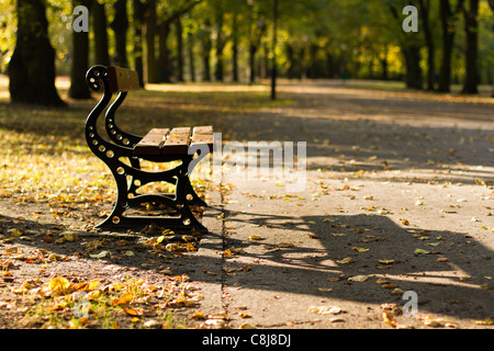 Una panchina nel parco durante l'autunno. Foto Stock