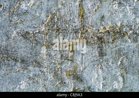 Dettaglio delle texture su un muro di cemento Foto Stock
