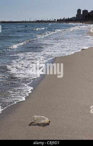Costa del Sol, Spagna - Fuengirola. Lavato fino vuota la bottiglia di plastica sulla spiaggia pulita. Foto Stock