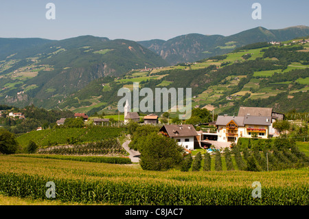 Tiso, Val di Funes (Villnoss), Dolomiti, Trentino Alto Adige, Alto Adige, Italia. Foto Stock