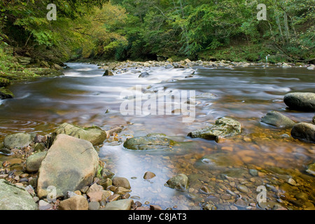 Il fiume Allen nel Northumberland Foto Stock