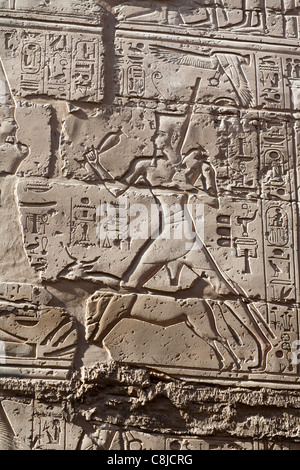 Lavoro di soccorso che mostra re Seti e gara di toro Apis al Tempio di Karnak e Luxor Egitto Foto Stock