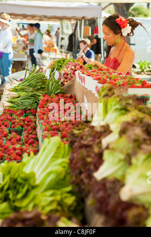 Fornitore vende fragole e lattuga, mercato agricolo, Santa Barbara, California, Stati Uniti d'America Foto Stock