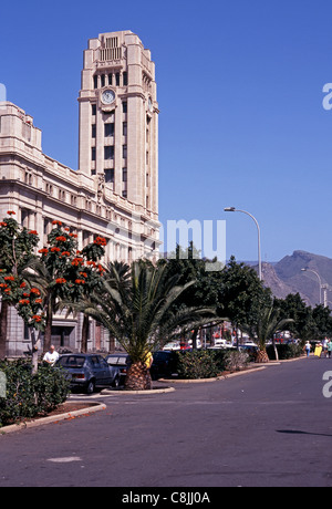 Avenida de Jose Antonio Primo de Rivera (strada principale lungo il porto), Santa Cruz Tenerife, Isole Canarie, Spagna. Foto Stock