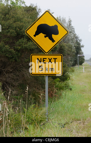 Il Koala cartello stradale fotografato in Australia meridionale Foto Stock