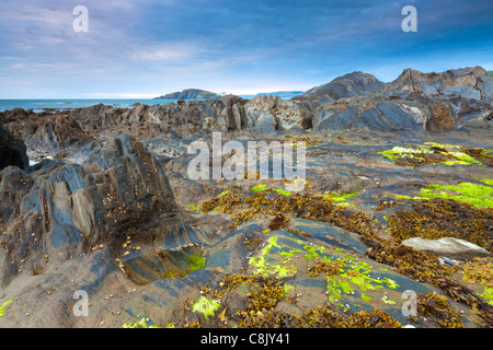 Sponde rocciose di Bantham al crepuscolo, Bantham, South Devon, Inghilterra, Regno Unito, Europa Foto Stock