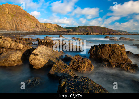 Le sponde rocciose di Hartland Quay in North Devon, Inghilterra, Regno Unito, Europa Foto Stock