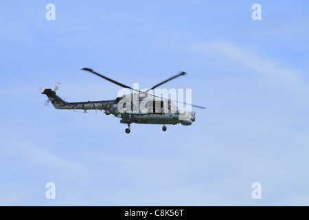 Un membro della Royal Navy Gatto Nero elicottero team Display a Eastbourne Air Show, East Sussex, Inghilterra. Foto Stock