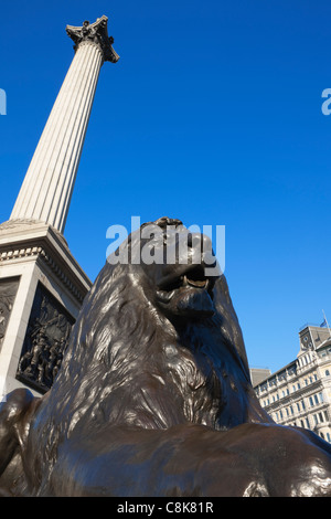 Lion statua in corrispondenza della base della colonna di Nelson,; Trafalgar square;Londra; Inghilterra Foto Stock