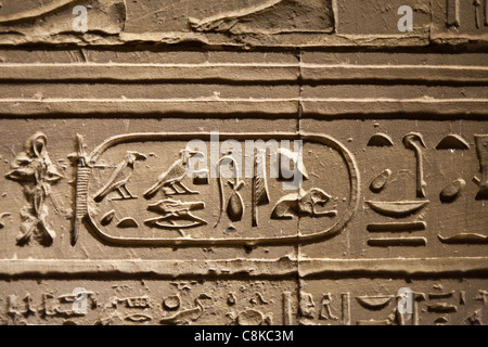 Dettaglio del lavoro di soccorso che mostra cartiglio di Tolomeo presso il Tempio di Horus Edfu Alto Egitto Foto Stock