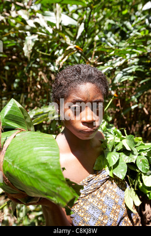 Baaka pigmeo cacciatore femmina, Dzanga Sangha Riserva, Repubblica Centrafricana, Africa Foto Stock