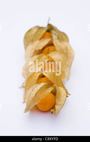 Physalis peruviana. Foto Stock