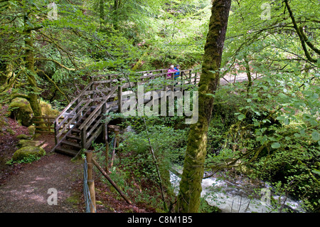 Un torrente di montagna precipita verso Glen Creran in Scozia occidentale Foto Stock