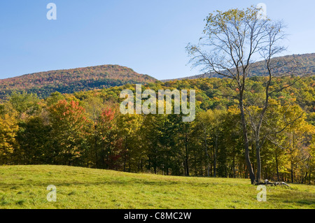 East Dorset Vermont autunno Foto Stock