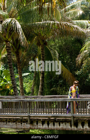 Giovane donna in piedi sul ponte in prossimità di alberi di palma in ingresso alla spiaggia Molowaa, North Shore di Kauai Foto Stock