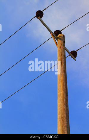 Elettricità cavi di alimentazione su legno palo del telegrafo con un cielo blu sullo sfondo Foto Stock