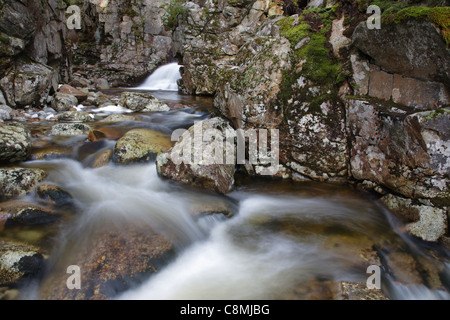 Cascata Brook in Franconia Notch stato Parco dei Monti bianchi, New Hampshire USA Foto Stock